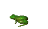 animated_frog