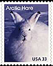 arctic_animals_pictures