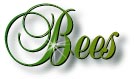 bees_title