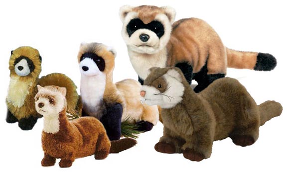 black footed ferret plush