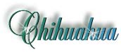 chihuahua_title