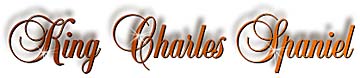 king_charles_spaniel_title