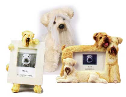 plush wheaten terrier