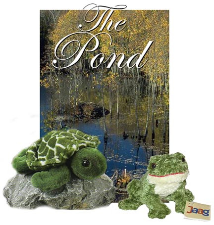 the_pond_picture