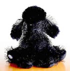 Webkinz Black Poodle