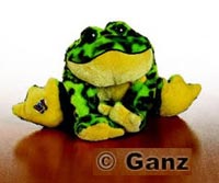 Lil Kinz Bull Frog