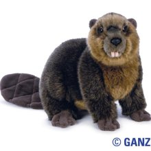 Webkinz Signature Beaver