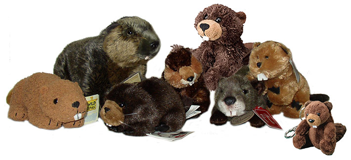 beaver_plush_toys