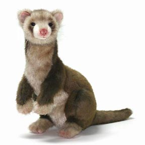 black footed ferret plush