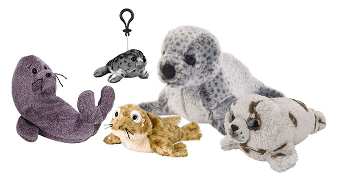 plush toy seals