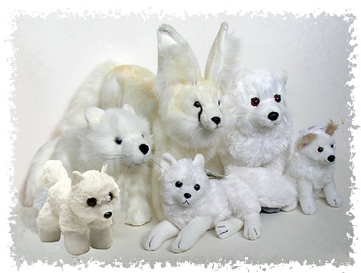 Find Arctic Fox plush toy stuffed animals, facts and information in The