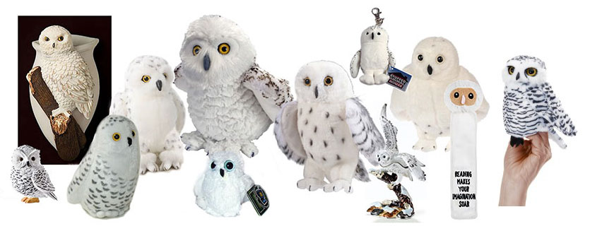 snowy_owls