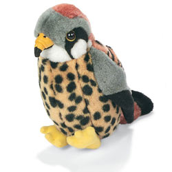 real_kestrel