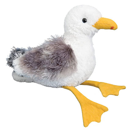 seagull