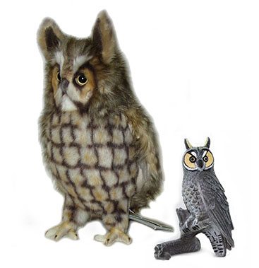 long_eared_owls