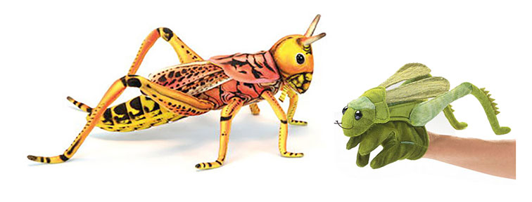 Grasshopper plush on sale