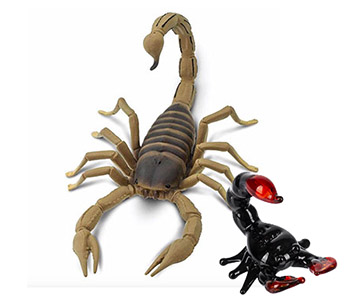 scorpions