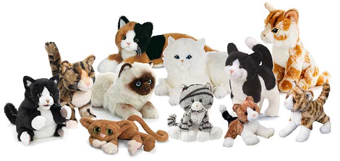 Introduction to Cat stuffed animals in the Cat section of Animals