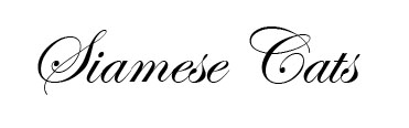 siamese_banner