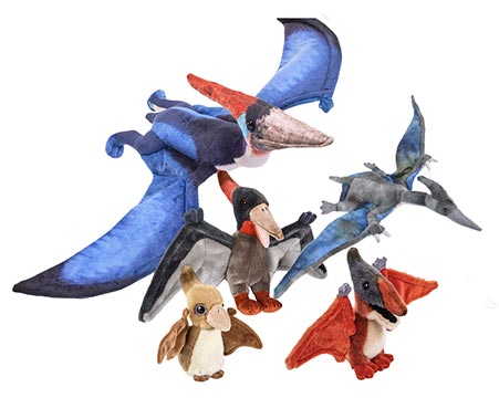 Pteranodons