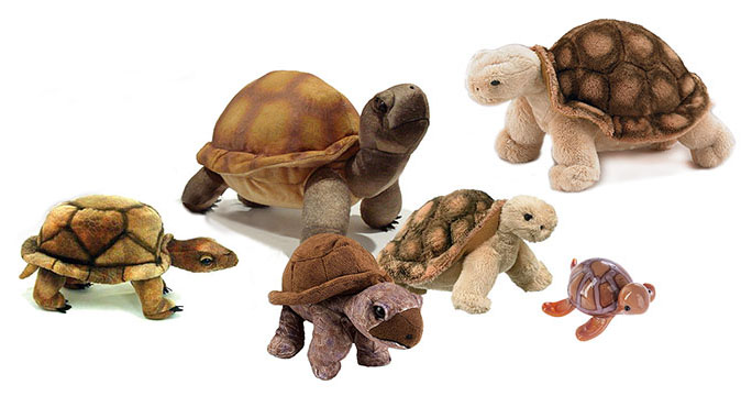 plush toy turtle tortoise