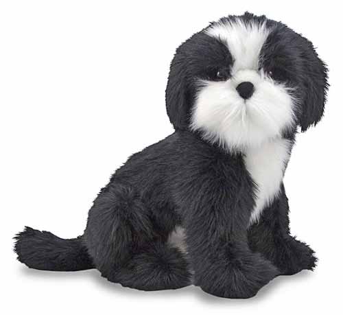 md_shihtzu