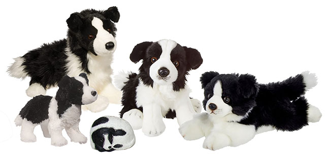 border_collies