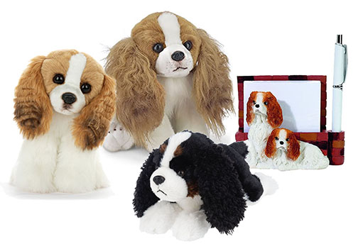 king_charles_spaniel