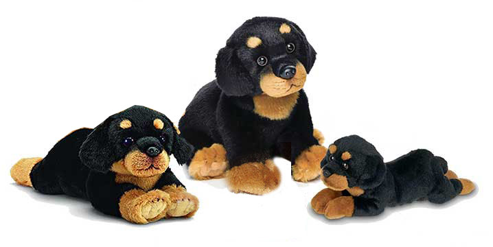 rottweilers