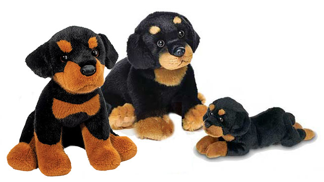 rottweilers