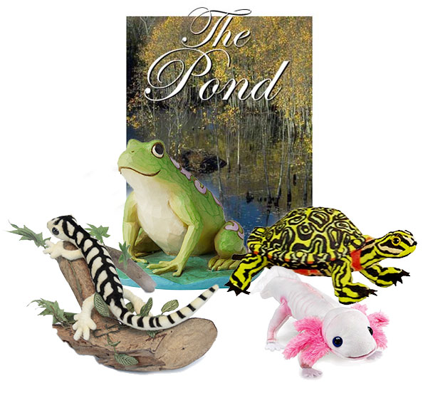 the_pond_picture