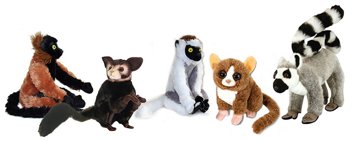 Find Lemur stuffed animals, facts and information at the Zoo at The