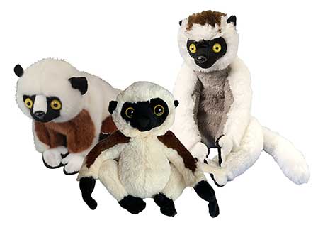 sifaka lemur webkinz