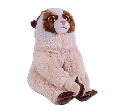 slow_loris
