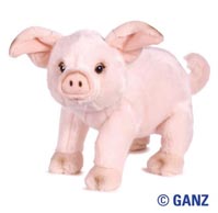 webkinz floppy pig
