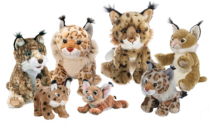 Find Bobcat stuffed animals and Lynx stuffed animals, plus facts and  information at Animals N More.