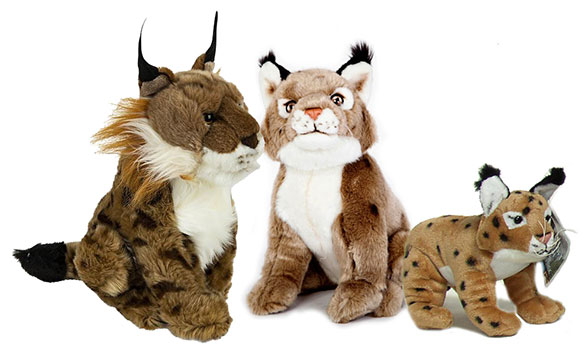 Find plush toy Lynx stuffed animals, facts and information at Animals N  More.