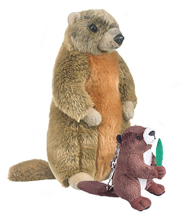 Get Marmot stuffed animals, facts and information at Animals N More.